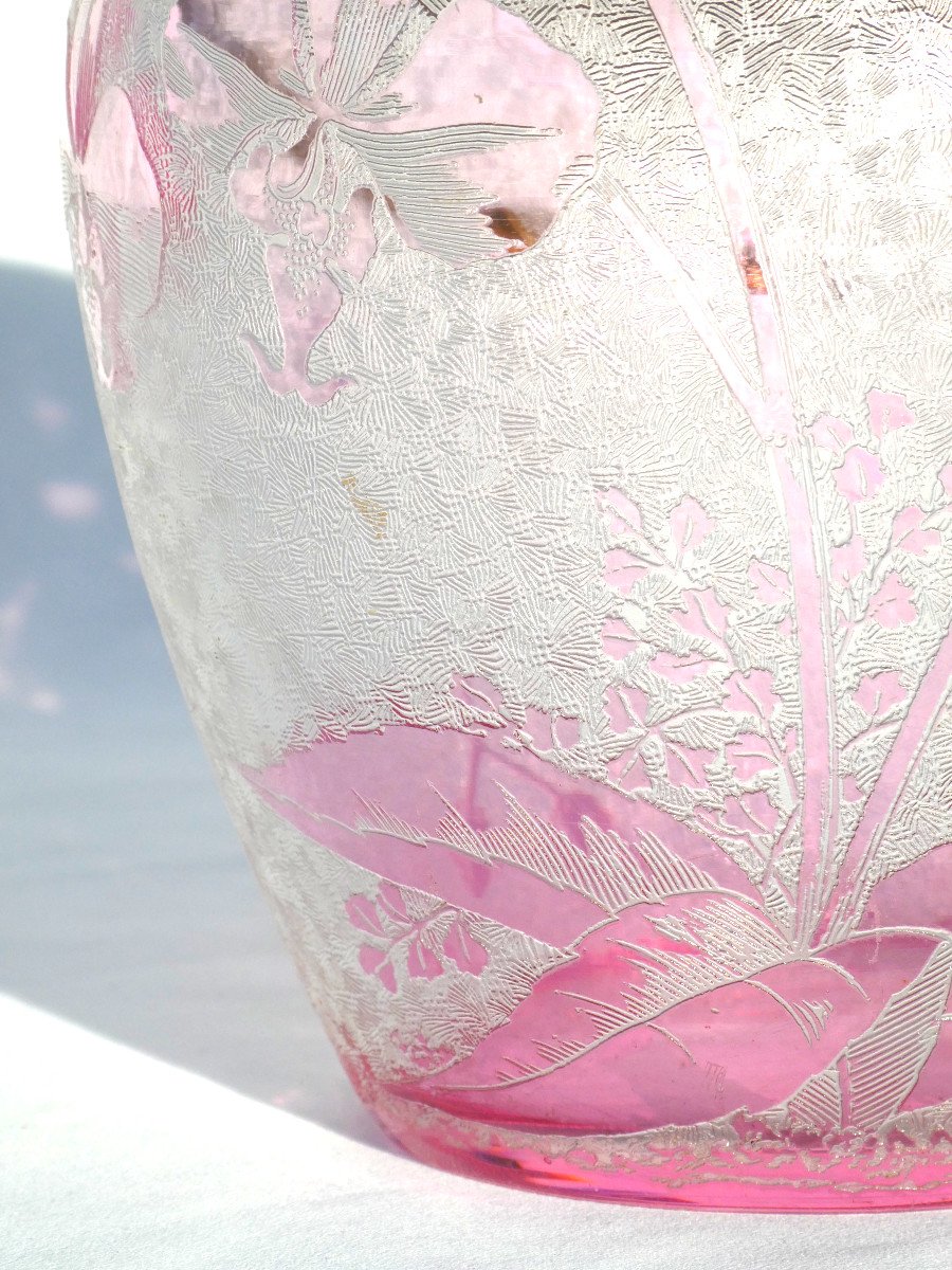 Baccarat Crystal Biscuit Bucket Acid Etched Orchid Decor, Art Nouveau, Pink-photo-3