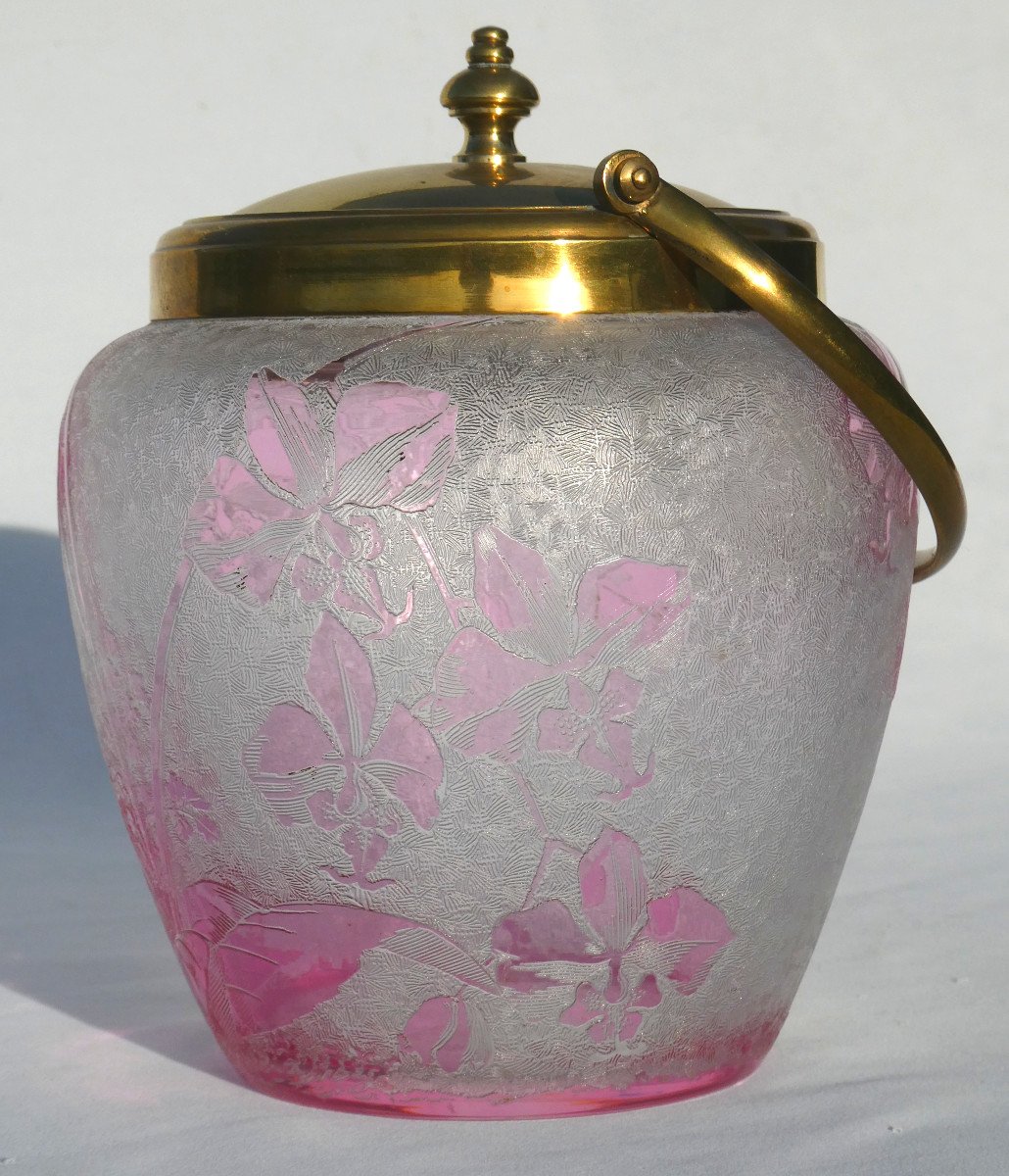 Baccarat Crystal Biscuit Bucket Acid Etched Orchid Decor, Art Nouveau, Pink