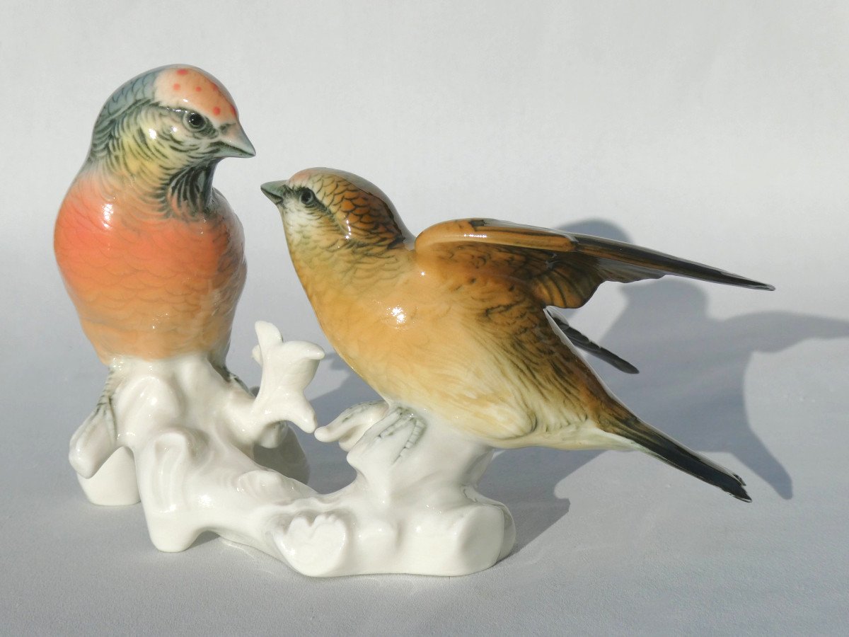 Pair Of Branchy Birds In Porcelain By Karl Ens, Art Deco, Couple Of Linnets-photo-2