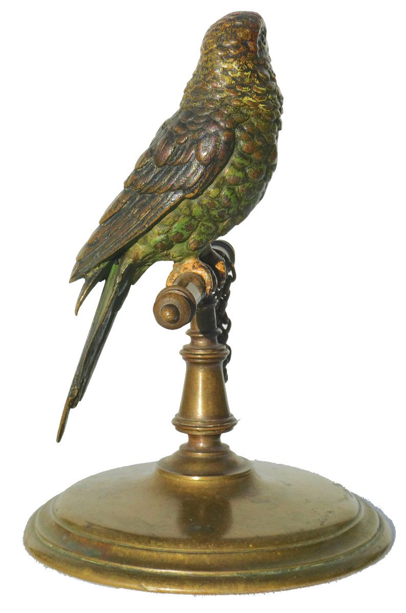 Animal Bronze Napoleon III Period, Parakeet / Parrot On Perch, Vienna Franz Bergman-photo-3