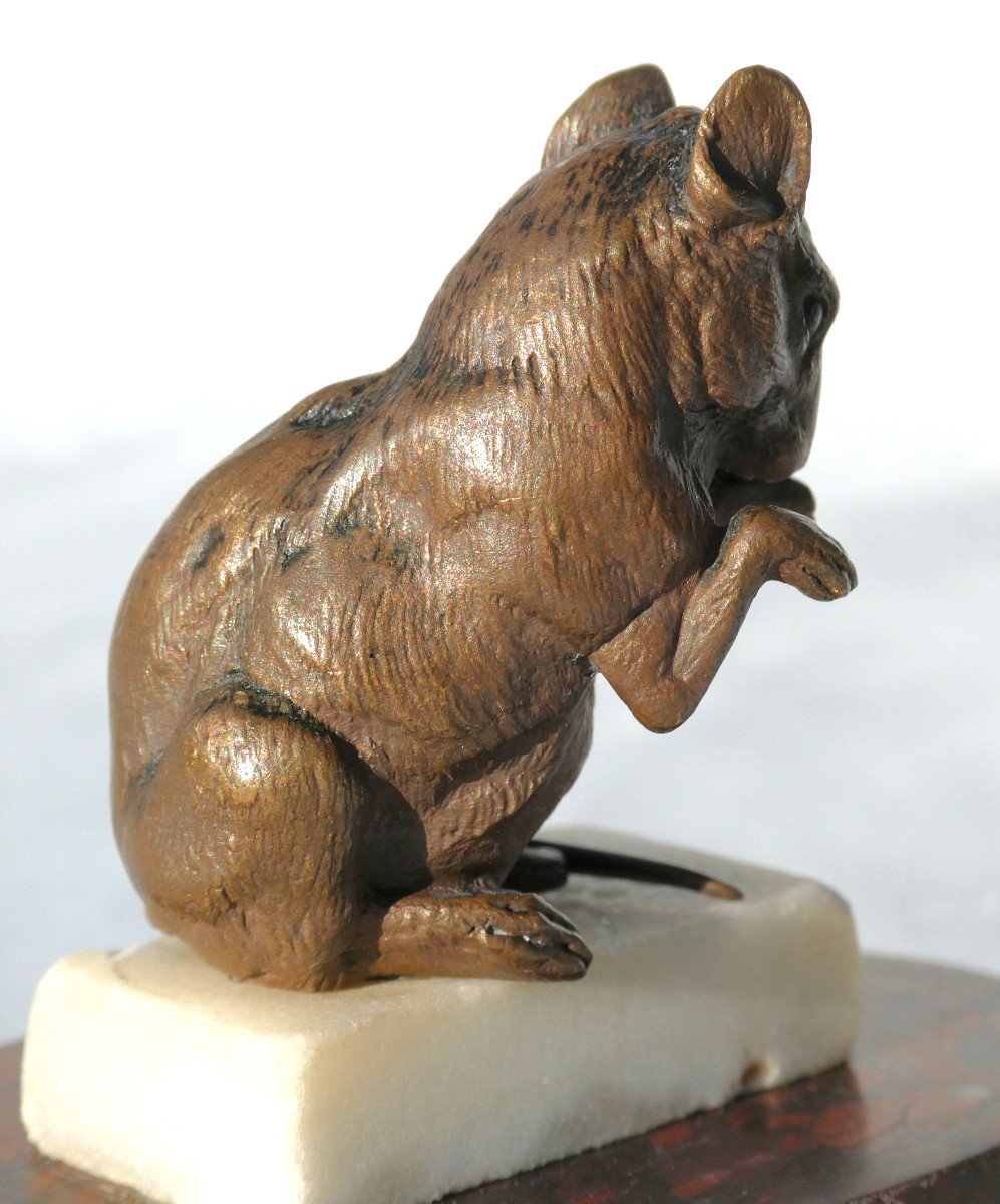 Sculpture, Animal Bronze, Mouse On Sugar Cube, Alphonse Alexandre Arson, 19th Century-photo-4