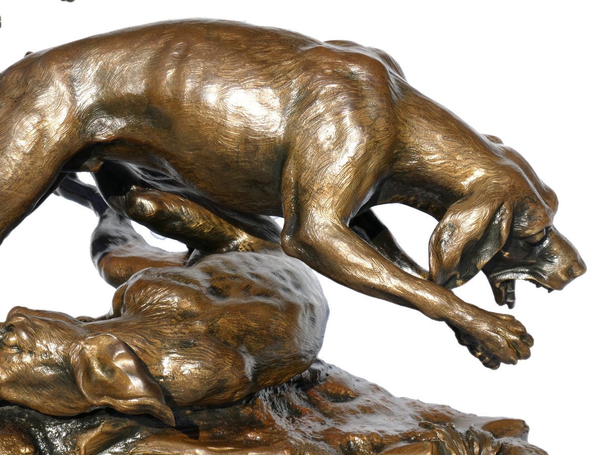 Sculpture En Bronze , Sujet Animalier , Deux Chiens De Chasse / Meute , Signé H. Pain XIXe-photo-2