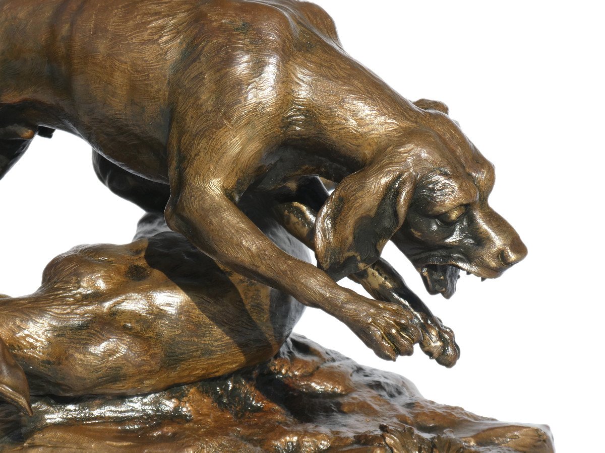 Sculpture En Bronze , Sujet Animalier , Deux Chiens De Chasse / Meute , Signé H. Pain XIXe-photo-1