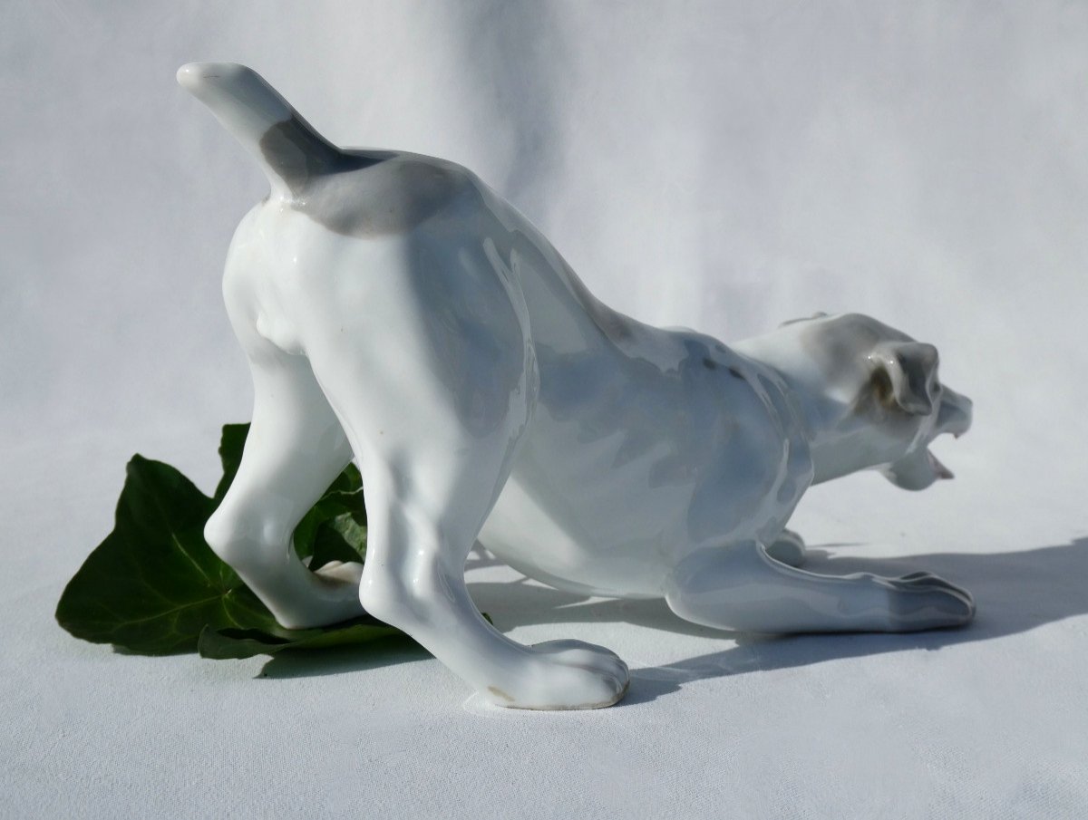 German Porcelain Hunting Dog From Heubach Animal Subject Art Deco 1930-photo-4