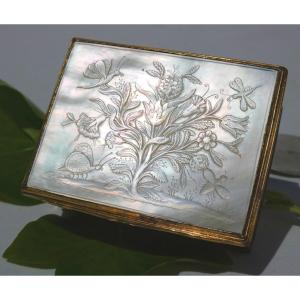 Carved Mother-of-pearl Fly Box / Snuff Box, Louis XVI Period, 18th Century, Butterflies Insects