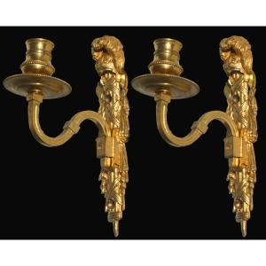 Pair Of 18th Century Gilt Bronze Wall Lights, One Arm Of Light, Cuirass Decor