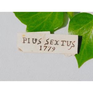 Relique XVIIIe Pius Sextus Cachet De Cire Reliquaire 1779 Pape Pie VI Souvenir Historique