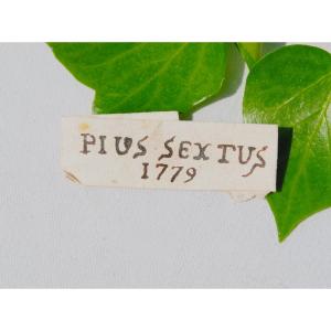 18th Century Relic Pius Sextus Wax Seal Reliquary 1779 Pope Pius VI Historical Souvenir