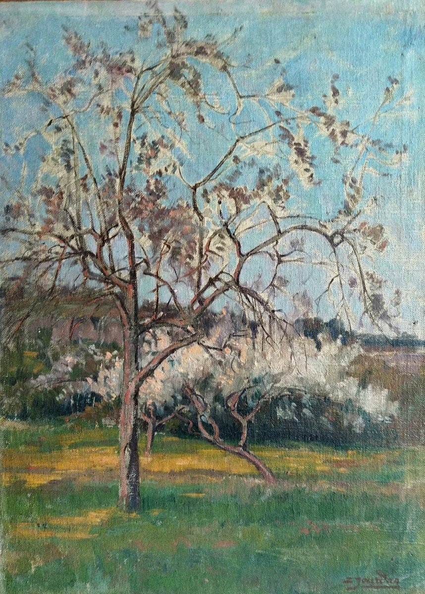 Cherry Tree - Louis Jourdan (1872-1948)