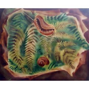 Seashells - Robert Le Ricolais (1884-1977)