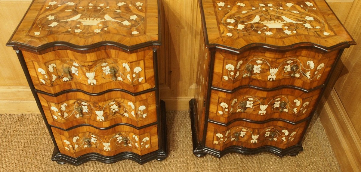 Rare Pair Of Small Italian Chests Of Drawers From The 18th Century-photo-1