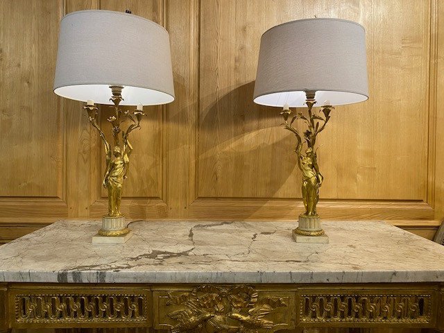 Pair Of Louis XVI Candelabra, In Gilded Bronze And Carrara Marble-photo-2