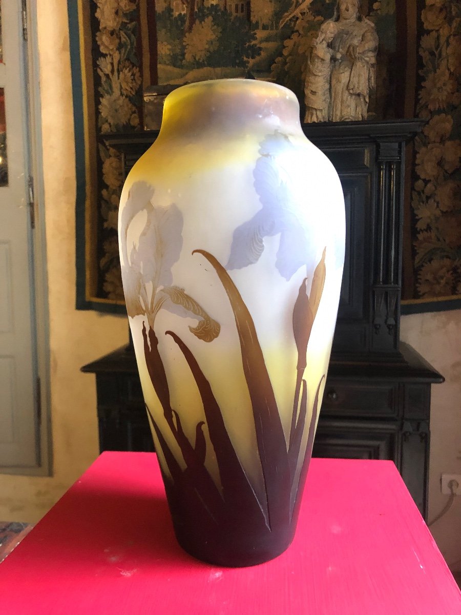 Galle Vase 