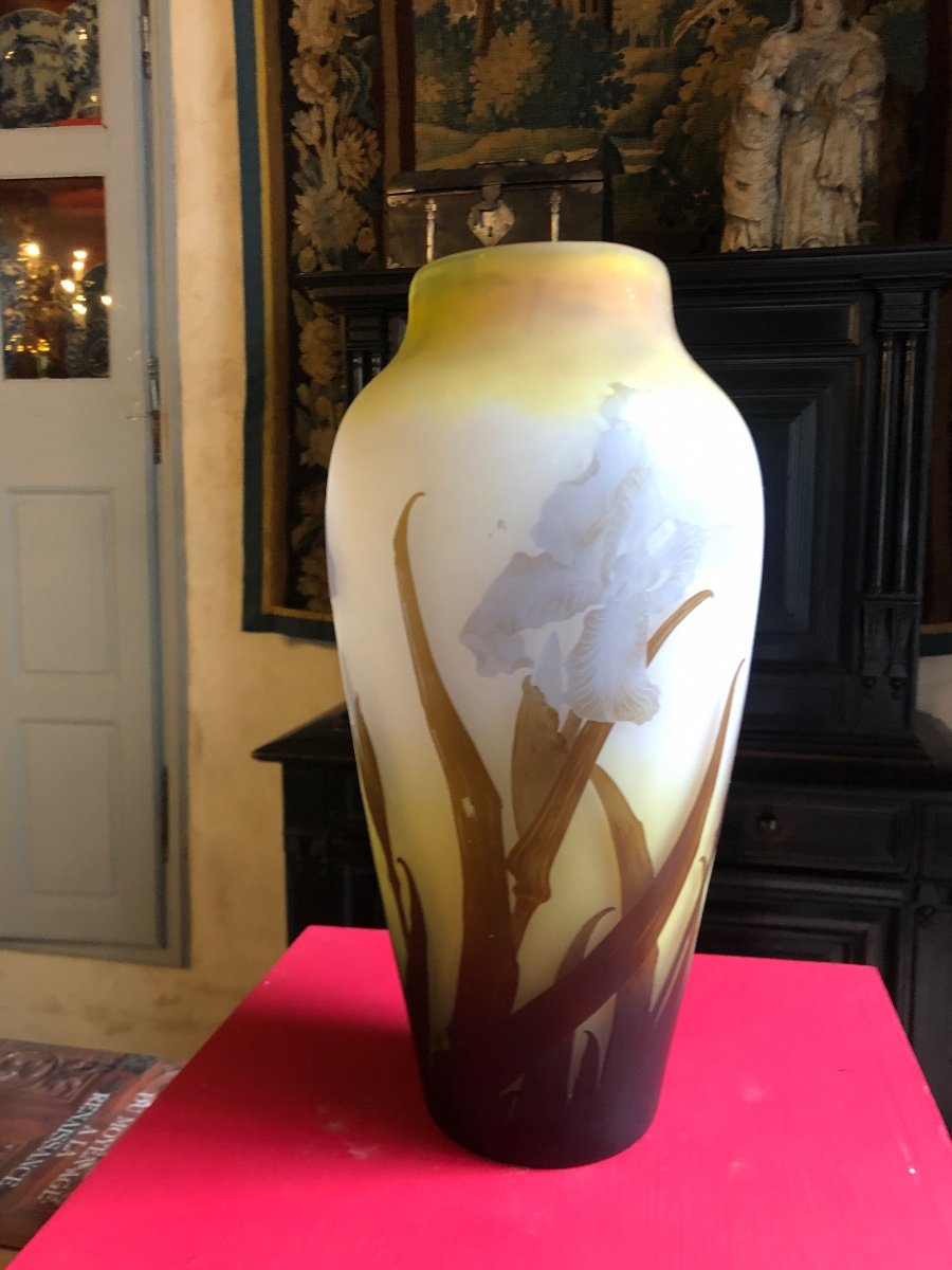 Galle Vase-photo-3