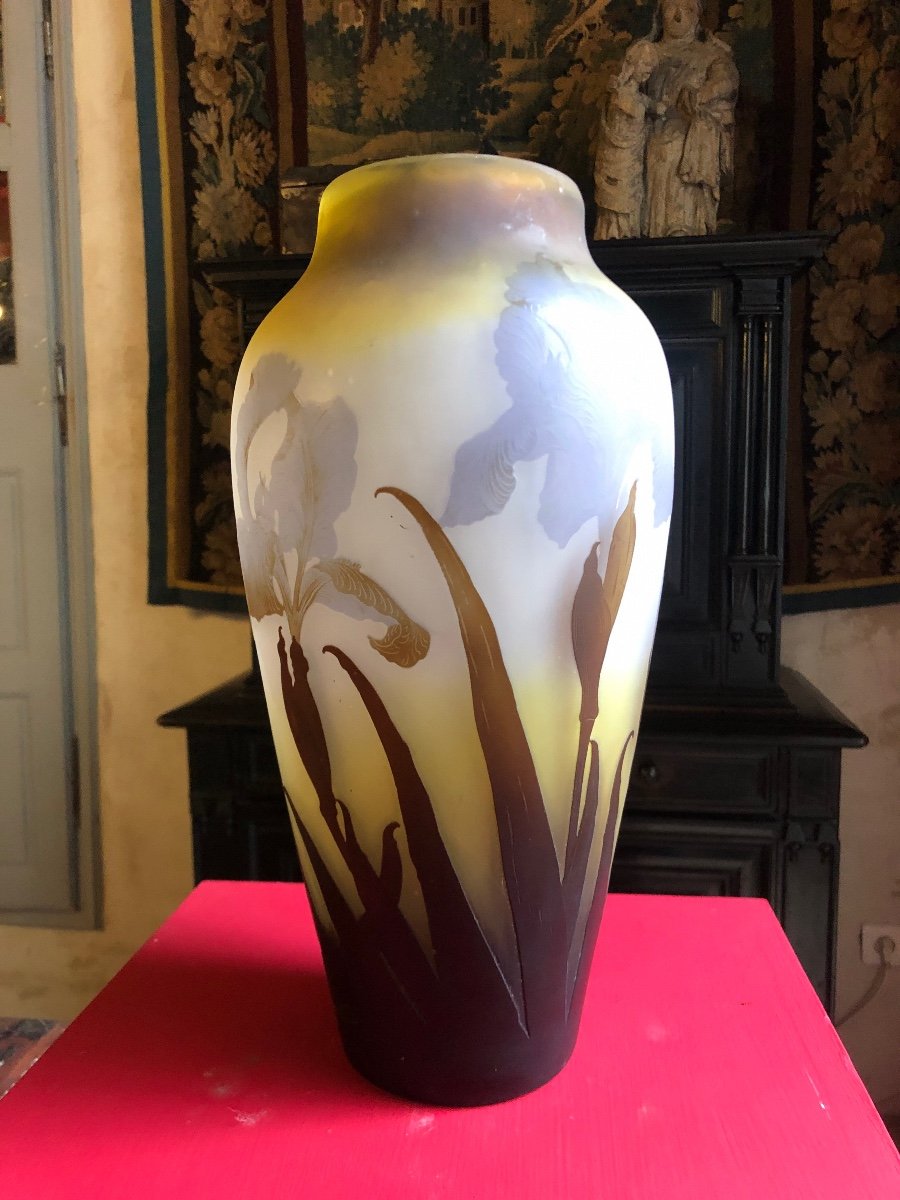 Galle Vase