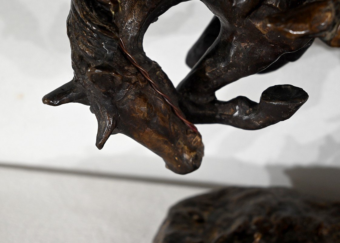 Bronze « Le Cheval Cabrant » – Début XXe-photo-3