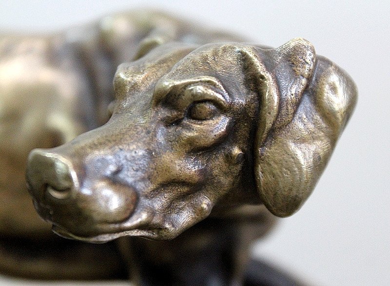 Bronze D’un Chien Braque, De P.j Mêne – Milieu XIXe-photo-4