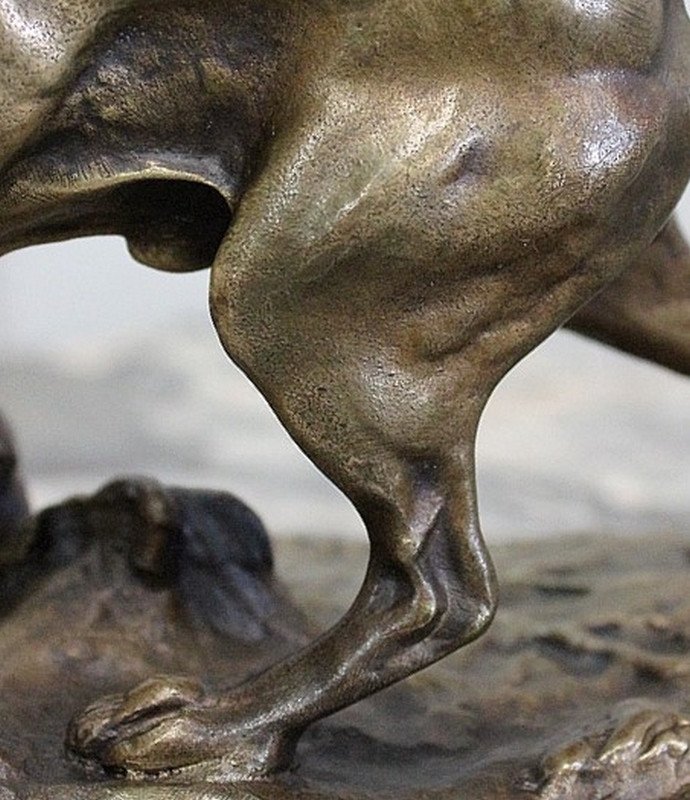 Bronze D’un Chien Braque, De P.j Mêne – Milieu XIXe-photo-6