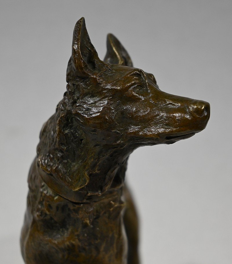 Bronze "the German Shepherd", After Pa. Laplanche - Early 20th Century-photo-3
