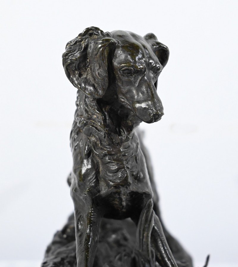 Bronze “spaniel Dog”, Signed Pj.mêne – Mid 19th Century-photo-2