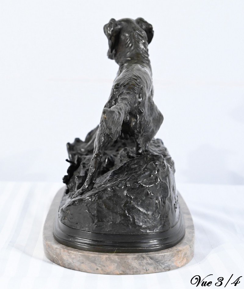 Bronze « Chien Epagneul », Signé P-j.mêne – Milieu XIXe-photo-4