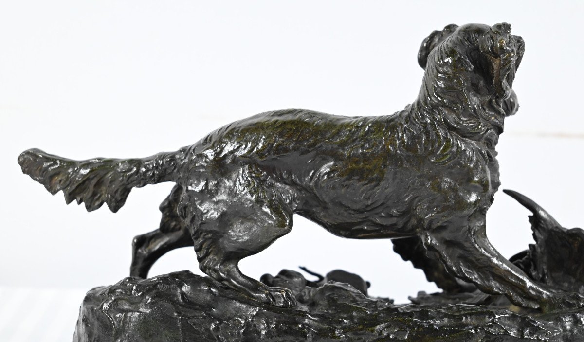 Bronze « Chien Epagneul », Signé P-j.mêne – Milieu XIXe-photo-6