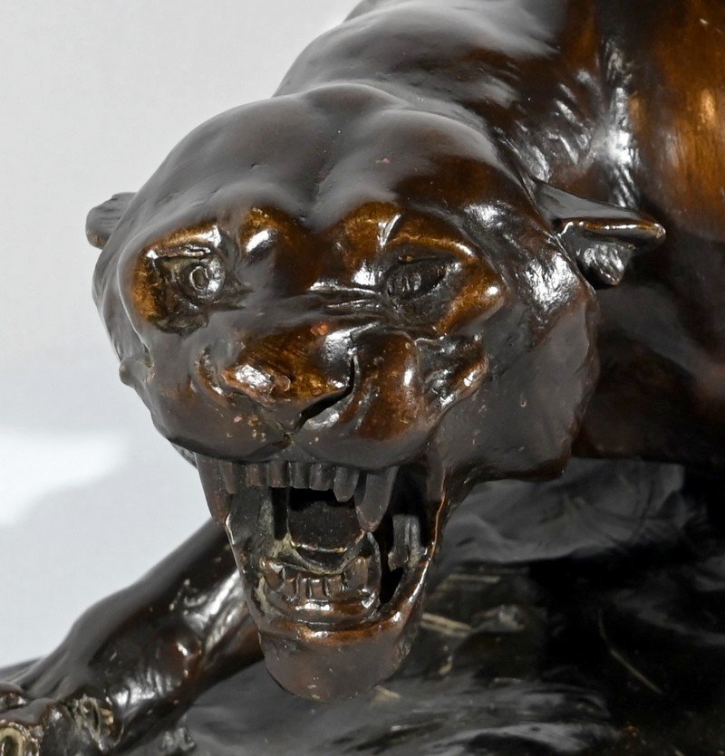 Patinated Terracotta Sculpture “tiger On The Lookout”, Signed T.cartier – Early 20th Century-photo-4