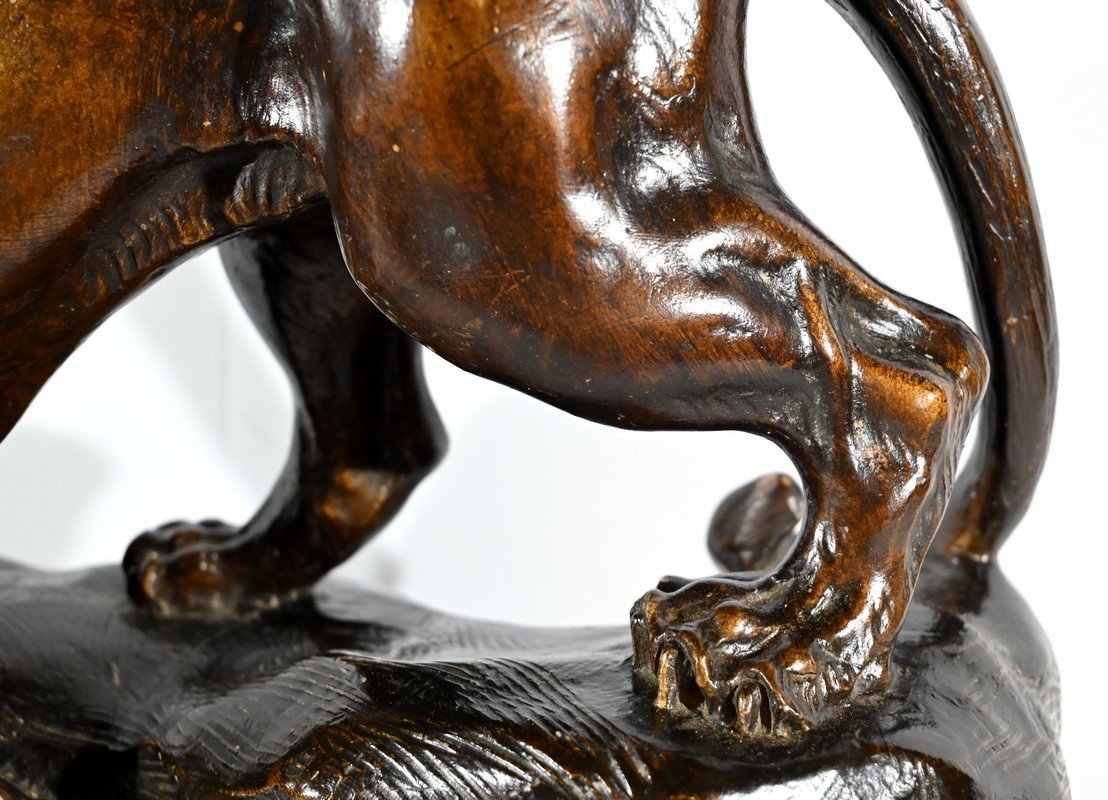 Patinated Terracotta Sculpture “tiger On The Lookout”, Signed T.cartier – Early 20th Century-photo-2