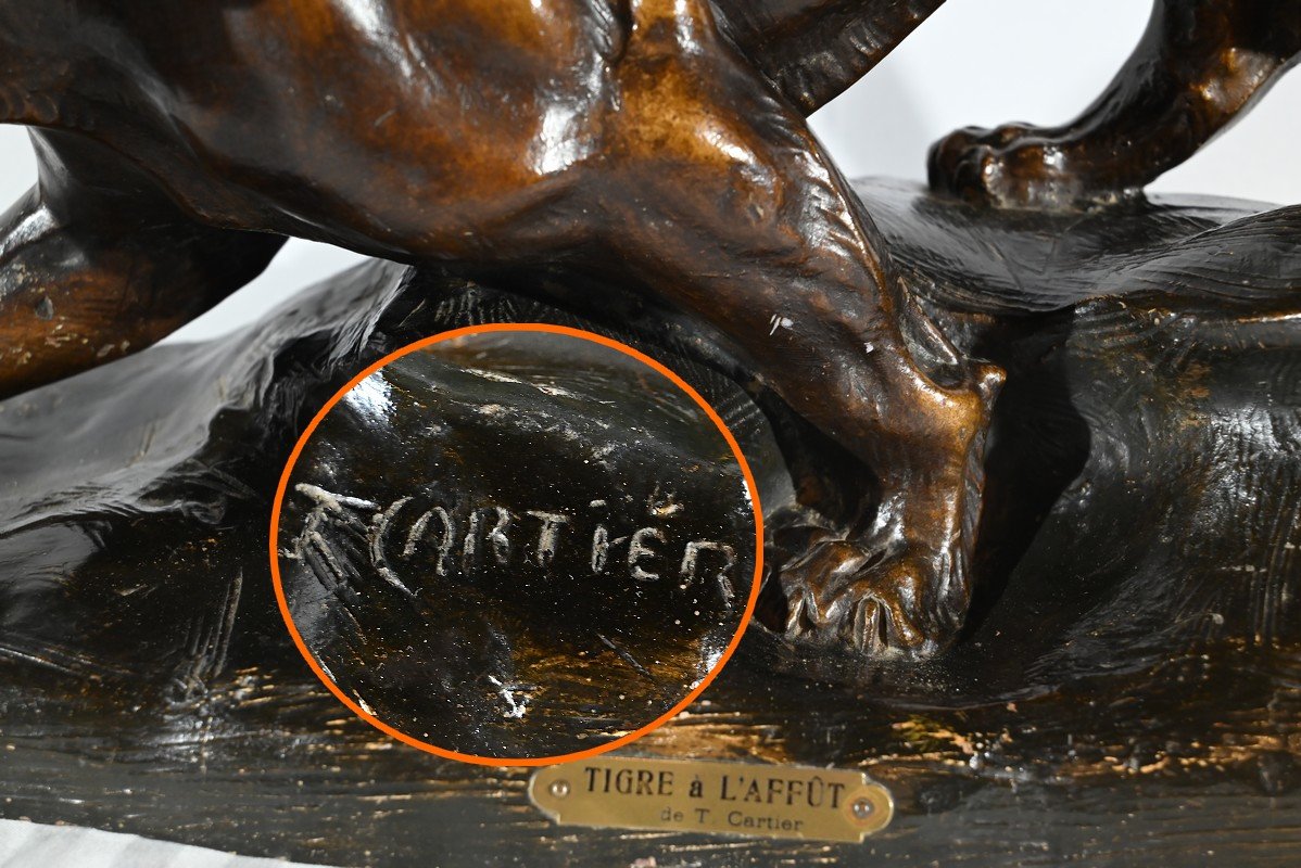 Patinated Terracotta Sculpture “tiger On The Lookout”, Signed T.cartier – Early 20th Century-photo-3