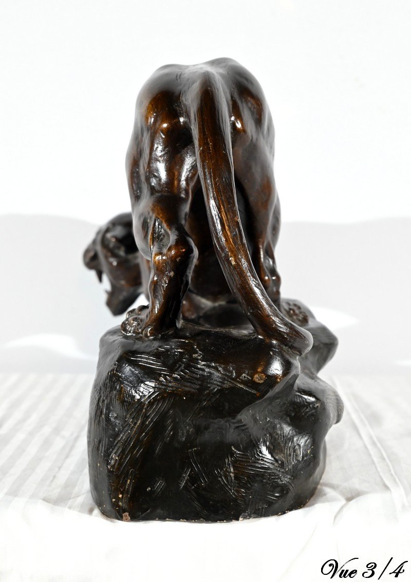 Patinated Terracotta Sculpture “tiger On The Lookout”, Signed T.cartier – Early 20th Century-photo-6