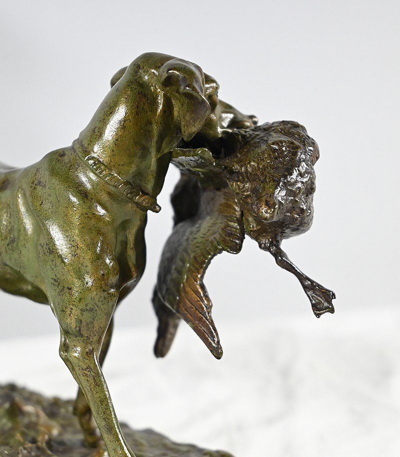 Bronze « braque Au Canard », Signé P.j Mêne – Milieu XIXe-photo-7