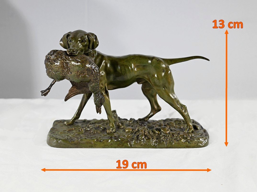 Bronze « braque Au Canard », Signé P.j Mêne – Milieu XIXe-photo-8