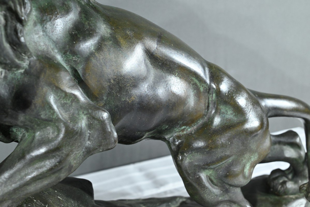 Bronze “roaring Lion”, Signed Nerin – Early 20th Century-photo-3