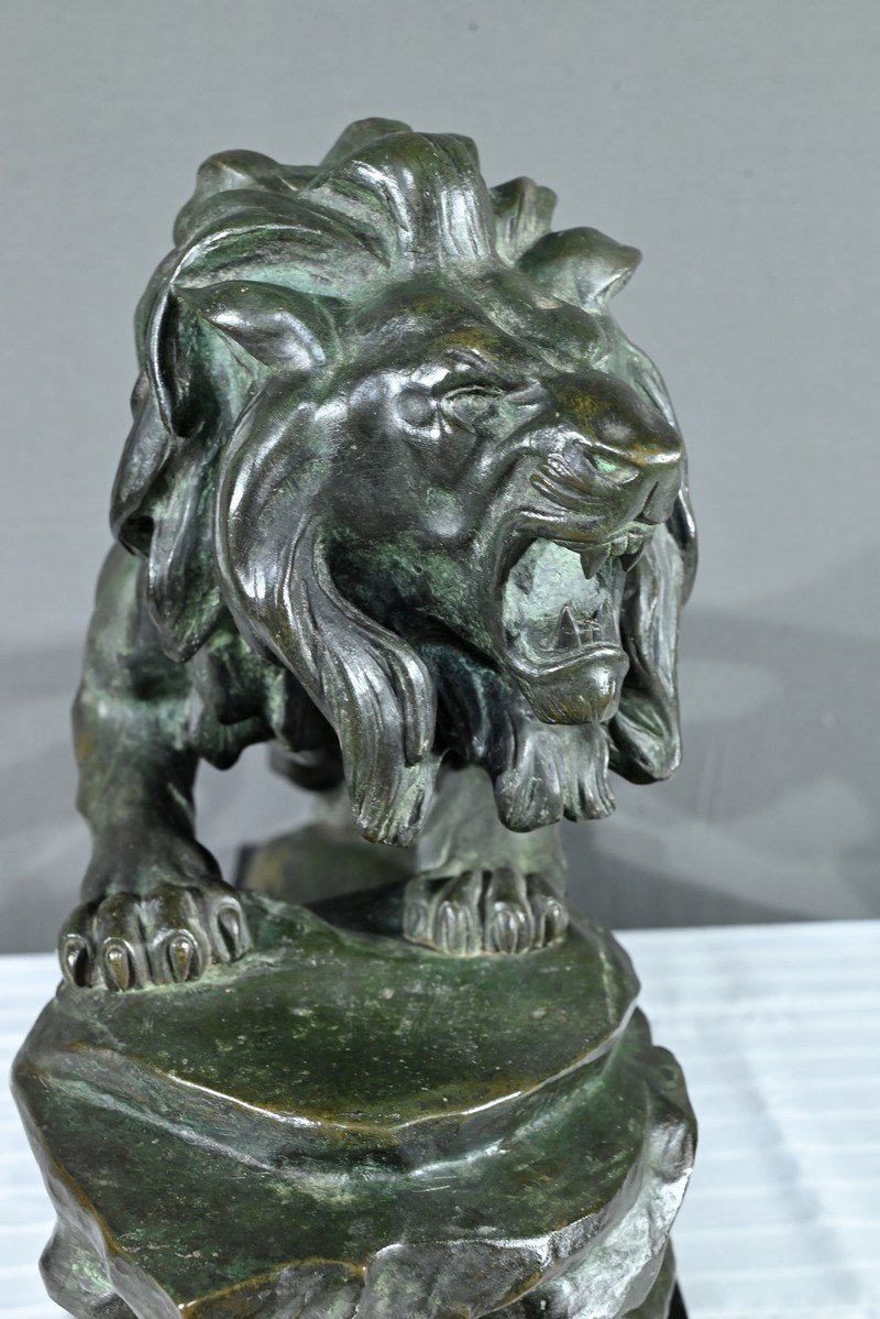 Bronze “roaring Lion”, Signed Nerin – Early 20th Century-photo-5