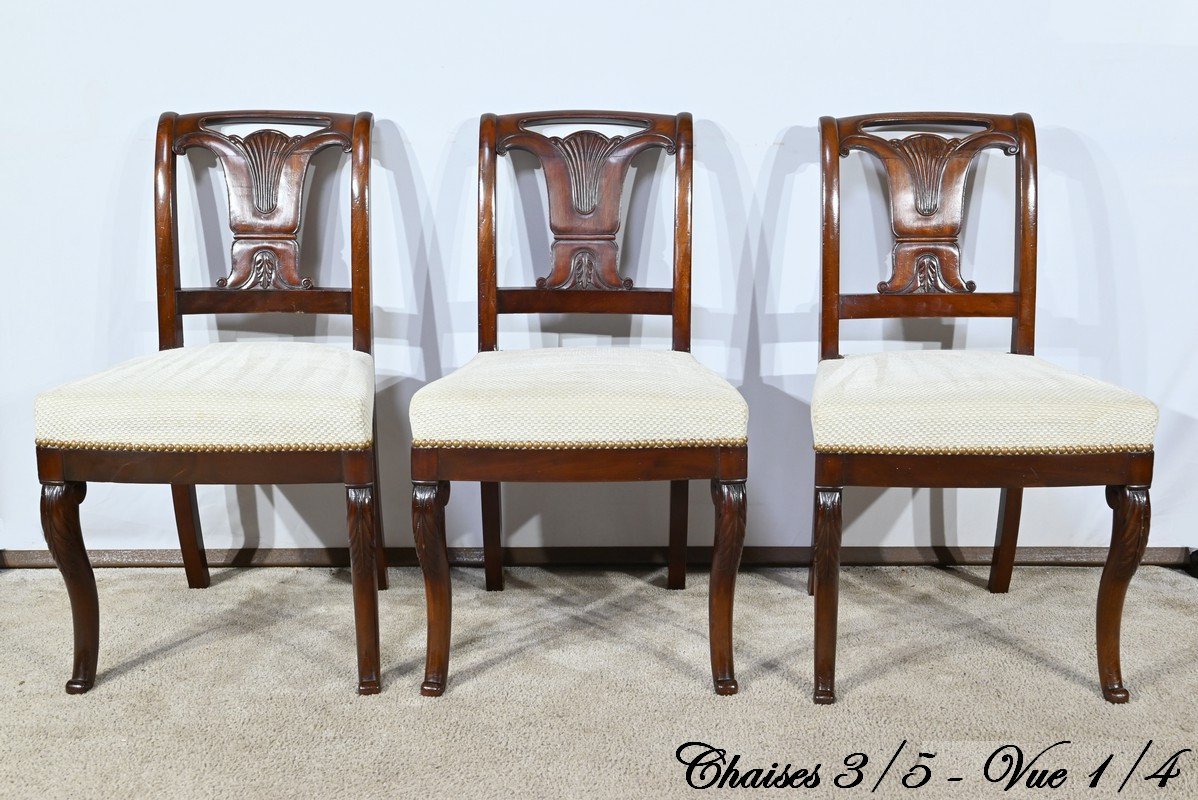 Set Of 5 Cuban Mahogany Chairs, Restoration Period – Early 19th Century-photo-4