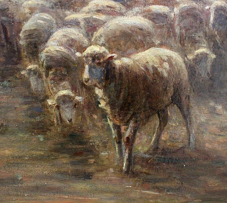 Large Painting '' Sheep In The Pasture '' Signed A. Charpin, 1906 - Early 20th Century-photo-5