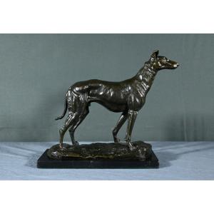 Bronze “the Greyhound”, Signed E.frémiet – Late 19th Century