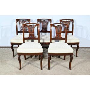 Set Of 5 Cuban Mahogany Chairs, Restoration Period – Early 19th Century