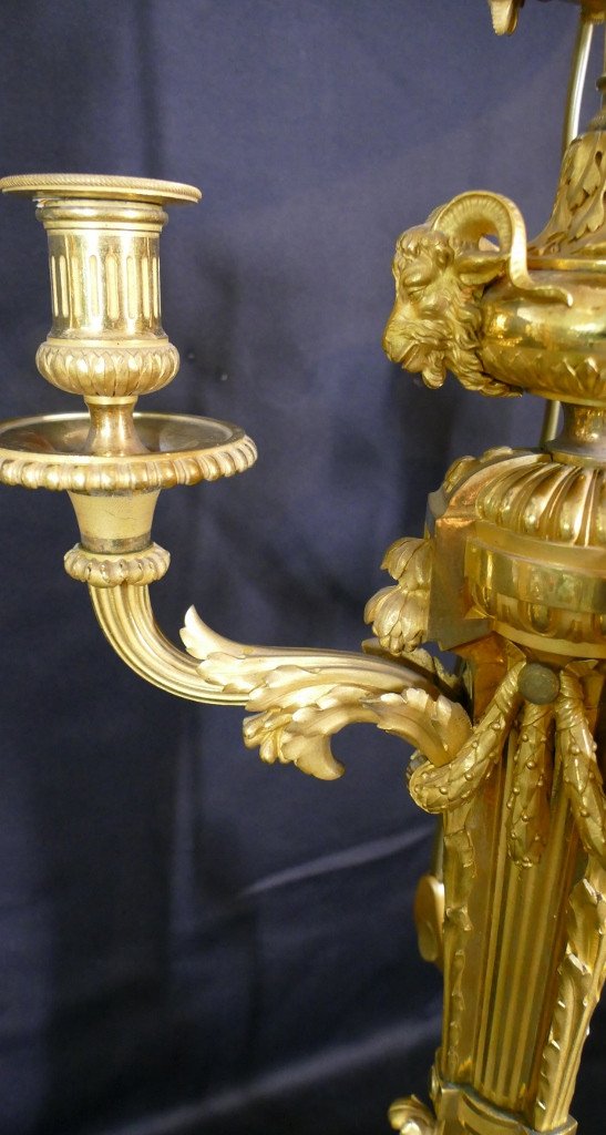 Pair Of Louis XVI Style Candelabra Lamps In Gilt Bronze And Turquin Marble, XIXth-photo-3