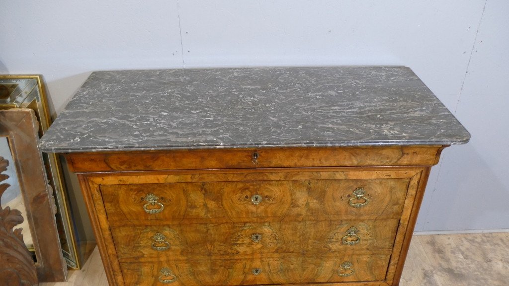 Commode Louis Philippe En Ronce De Noyer Et Marbre Gris Sainte Anne, XIX ème-photo-3