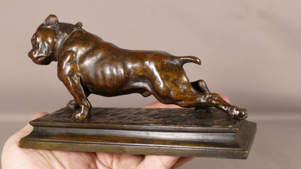 Le Bouledogue, Bronze Animalier Fin XIX ème Par Joseph Victor Chemin-photo-1