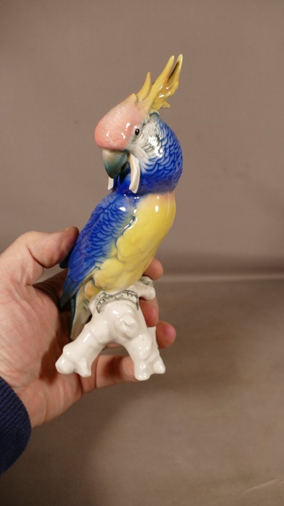 Karl Ens, Porcelain Parrot, Bird Animal Statuette, 20th Century-photo-1