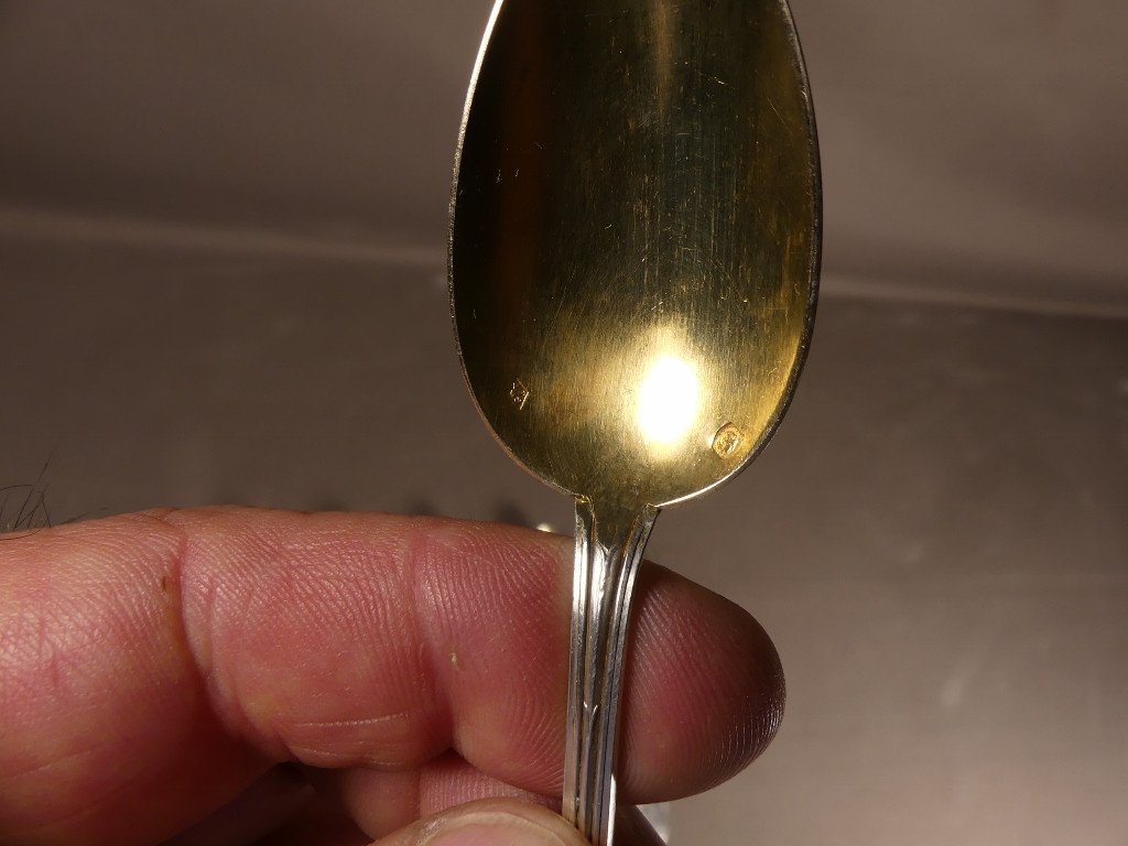 Art Nouveau Aux Iris, 12 Coffee Dessert Spoons Sterling Silver Vermeil Goldsmith Gustave Veyrat-photo-3