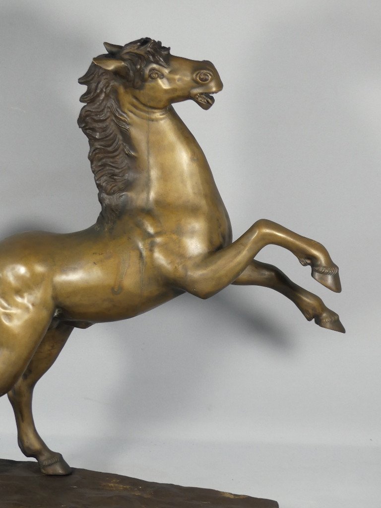 Cheval Cabré En Bronze, Sculpture Des Années 60 -photo-2