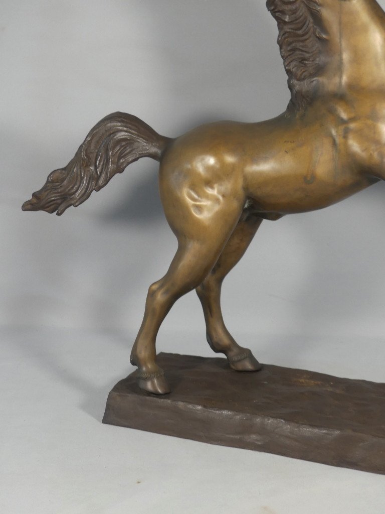 Cheval Cabré En Bronze, Sculpture Des Années 60 -photo-3