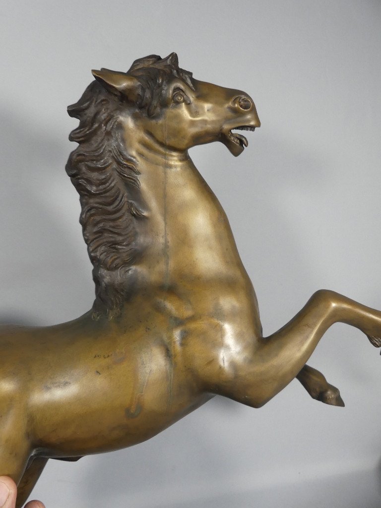 Cheval Cabré En Bronze, Sculpture Des Années 60 -photo-1