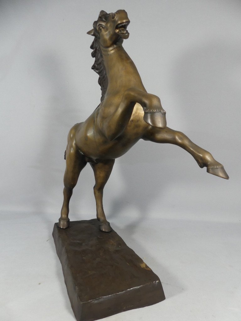 Cheval Cabré En Bronze, Sculpture Des Années 60 -photo-3