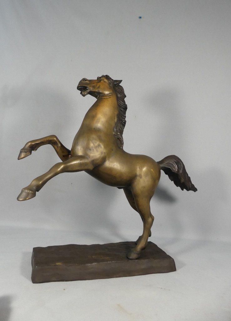 Cheval Cabré En Bronze, Sculpture Des Années 60 -photo-4