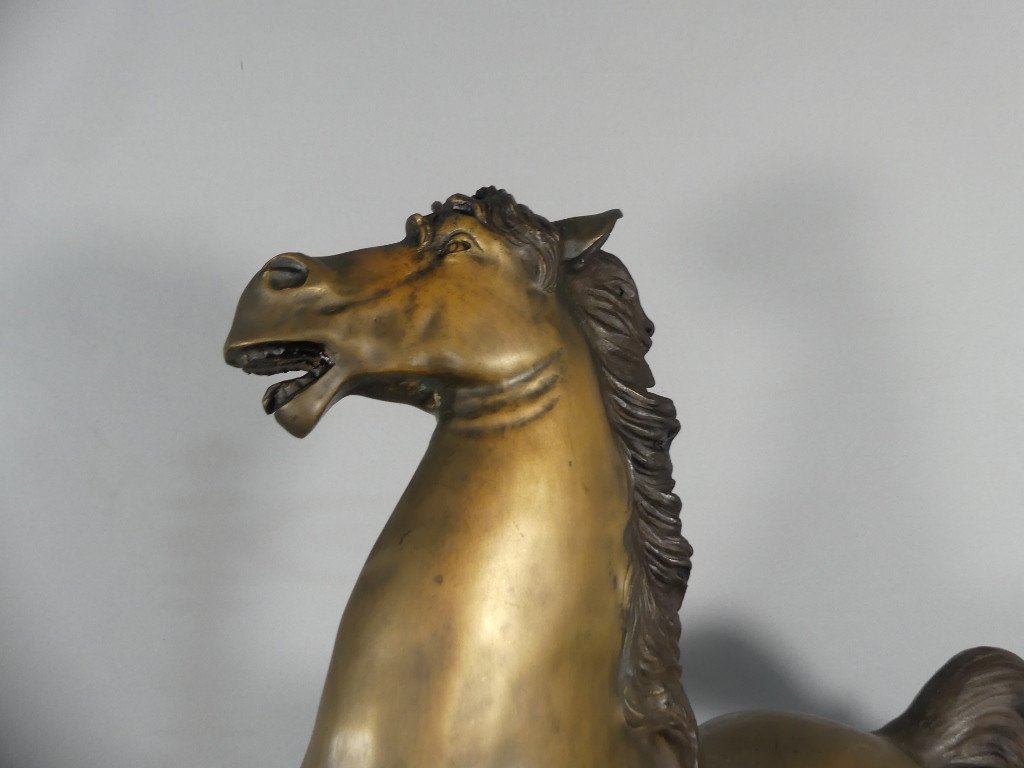 Cheval Cabré En Bronze, Sculpture Des Années 60 -photo-5