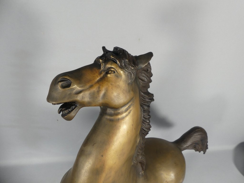 Cheval Cabré En Bronze, Sculpture Des Années 60 -photo-7